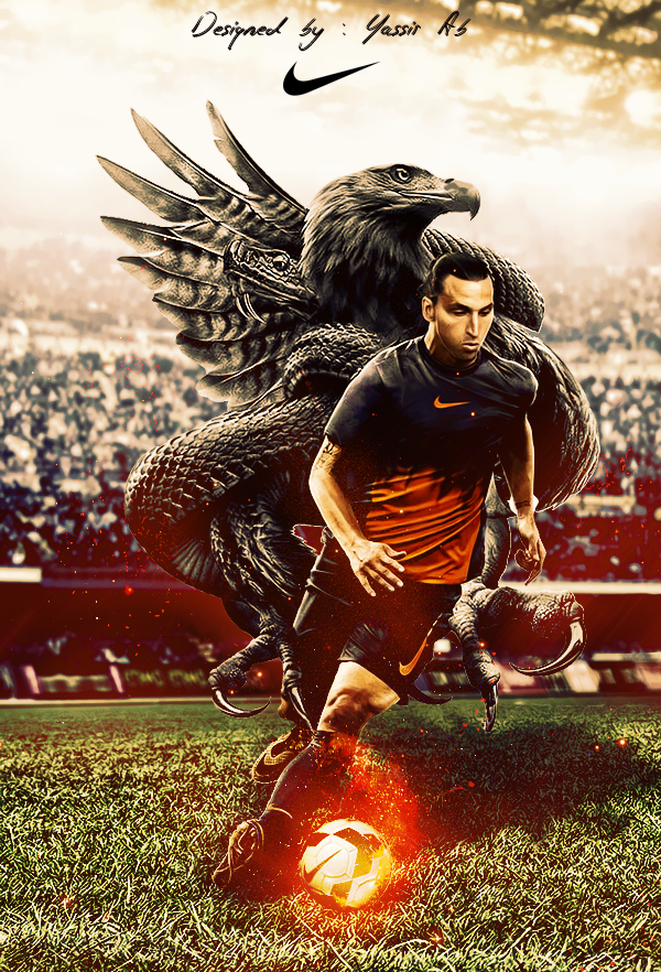 Zlatan | Eagle - Nike﻿ on Behance