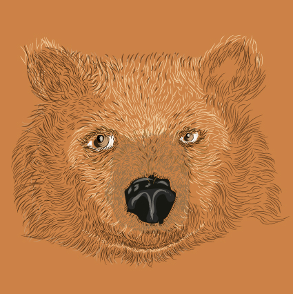 oso bear Gato Cat caballo ilustracion animales dibujo Adobe Ilustrator