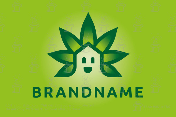 cannabis CBD marijuana logo cannabidiol branding  logodesign hemp