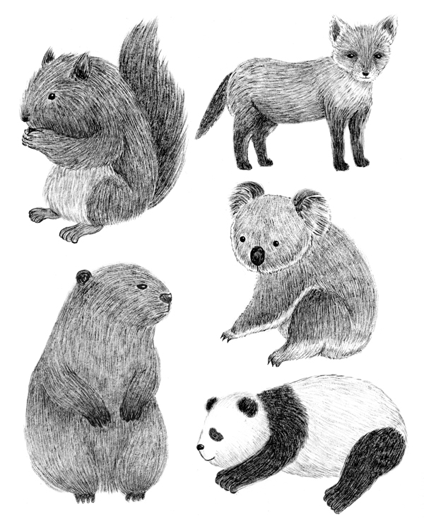 spot illustration animals Spots