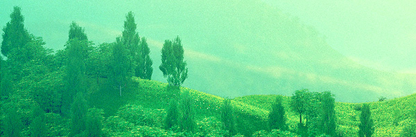 loveland loveland festival cinema 4d Landscape CGI 3D photoshop house techno butterfly summer Sun festival