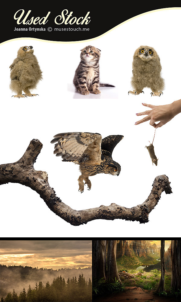 mission undercover photomanipulation DOCMA AWARD 2014 animals humor Image Editing Photo Composite