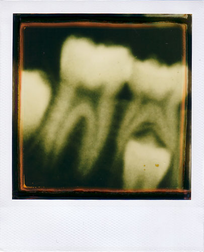 polaroid 600 instant film POLAROID