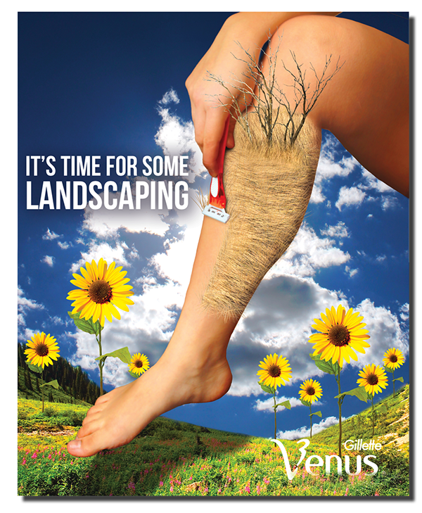 Image result for venus ads