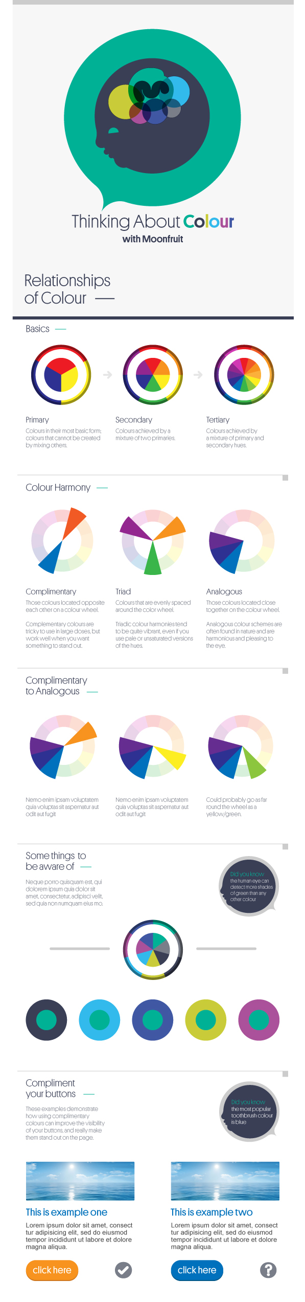 infographic colour shapes wheel