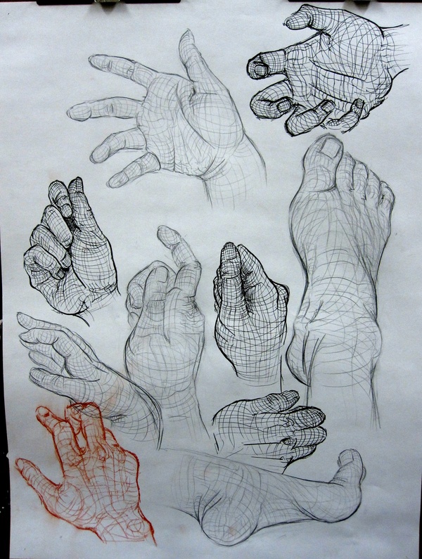 contour drawing Figure Studies