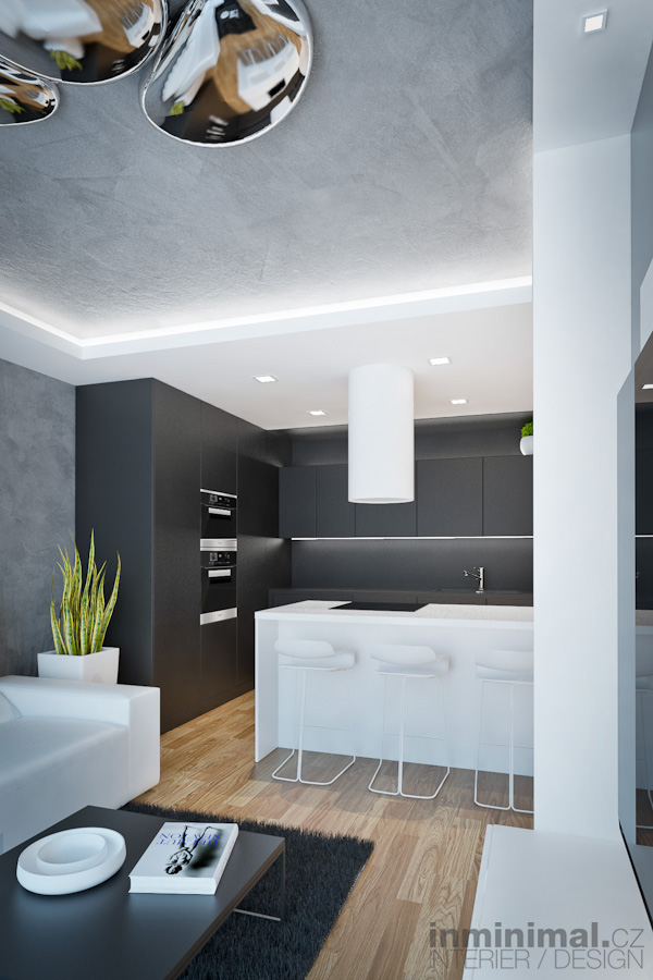 Interior desidn visualization apartment study