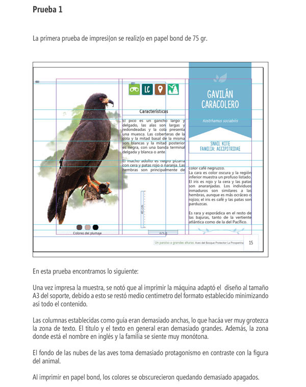 guia de aves ESPOL Ecuador Diseño editorial aves