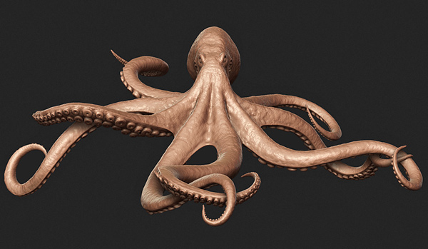 model modeling 3D Zbrush Maya goktugg goktug head face octopus Character Sculpt creature Render