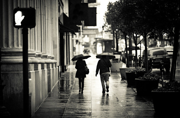 rain rainy city cityscape Street Umbrella san francisco tokyo California japan fine art wet walk Urban streetscape water