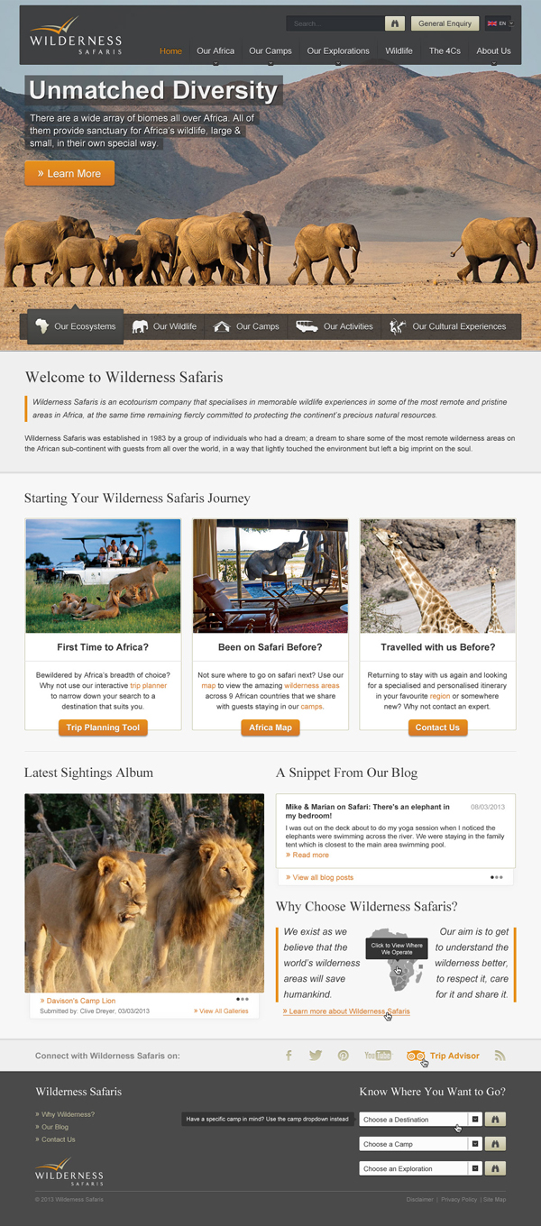 Travel wildlife tourism wilderness
