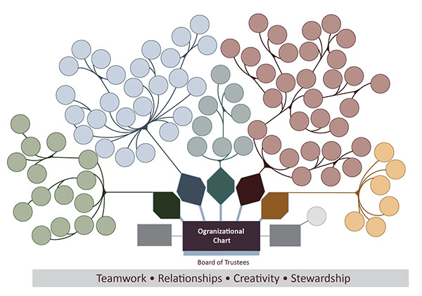 Organic Organizational Chart