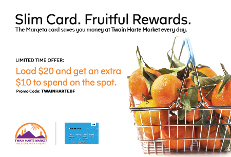 postcard flyer Web Banner marketing   Collateral oranges card Grocery