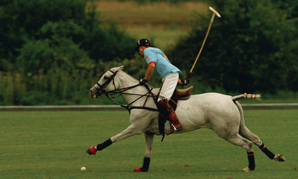 Polo Play Player Horse Rider Chukker Six Goal Foul Seven 7 Minutes Score Handicap Hook Stick Mallet Knock In Ball Umpire Out of Bounds Positions Referee Neck Back Shot Off Side Third Man Throw In Line of Ball Trot Canter Gallop