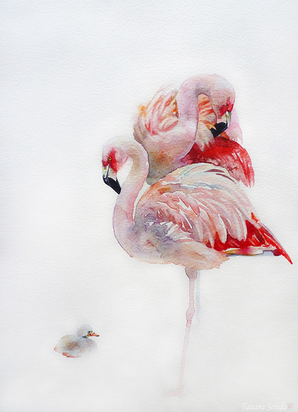 Watercolor flamingo. "Flamingo family". Birds.