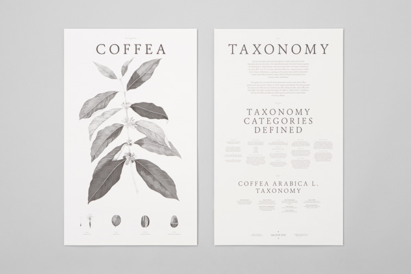 Taxonomy Posters