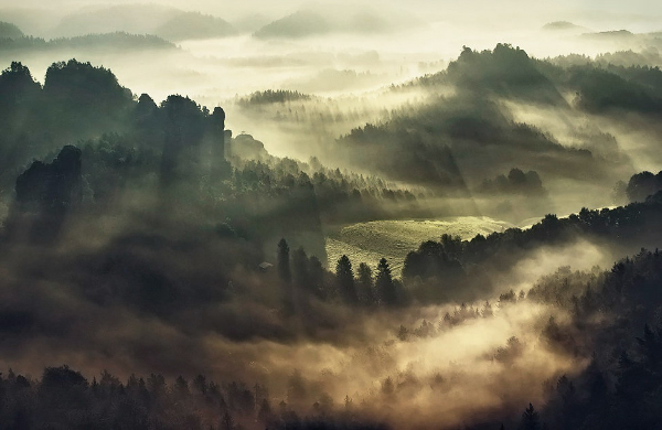 fog autumn Fall landscape photography Landscape mountains Nature forest foggy November view Outdoor