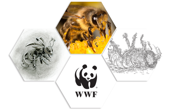 bees alejoporrasart WWF environment causes animals crops fruits vegetables alejo porras