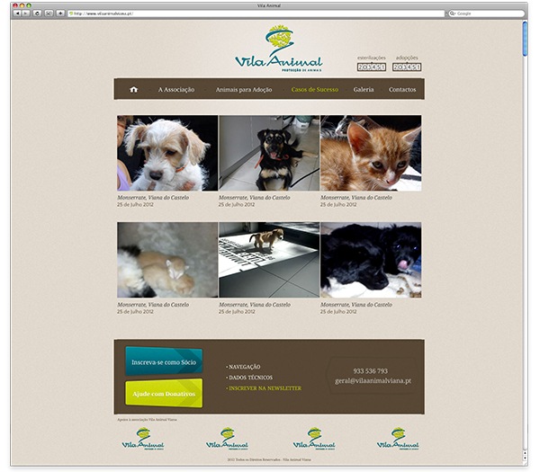 animals  social responsability social  care  adoption  texture   graphic design Website Responsive Design