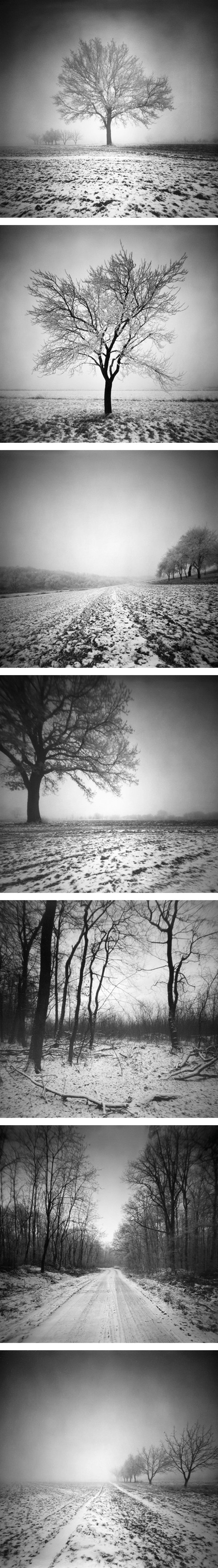 PICTORIALISM - Winter Pinhole Photography