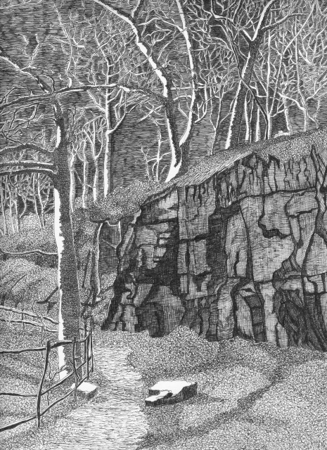 trees  pen and ink  black and White  bristol board  Pigment Ink  Adorio