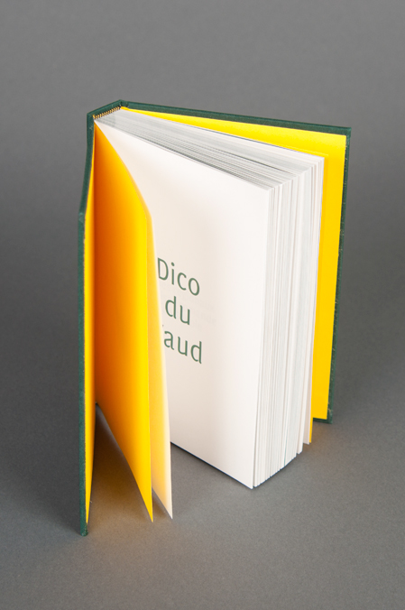 Adobe Portfolio binding book dictionary handmade Ecal