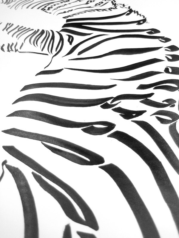 animaux sauvages calligraphie encre de chine zebre zebra ح