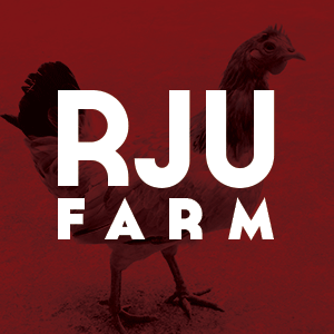 chicken farm red revin jaya Utama ayam origami  logo