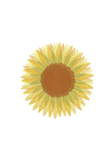 Nature science sunflower Fibonacci mathematics Swinburne art vector plants schoolwork school uni