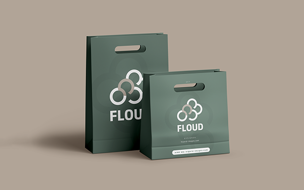FLOUD Unique Branding Identity | Logo Design - unused