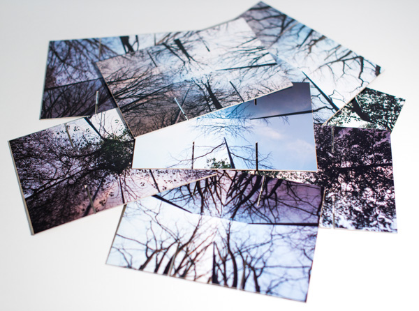 Landscape trees Nature catroptic Serralves museum manual handmade print refletion