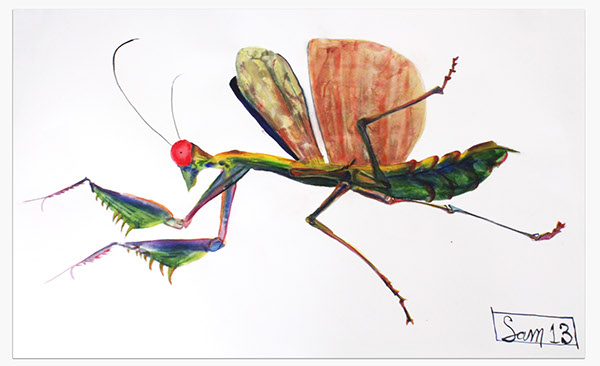 insect large paintings Insect paintings watercolor watercolor painting