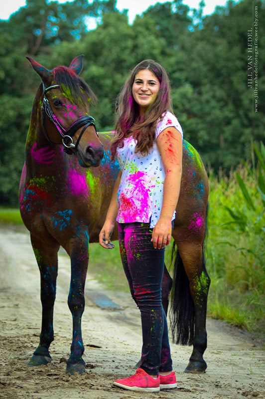 colour powder horses friends