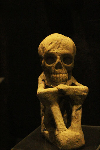 Dead's museum México's dead dead eduardo cruz