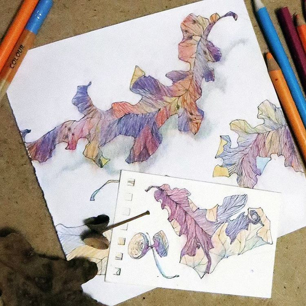 autumn leaves colored pencils dogrose watercolor акварель цветные карандаши осень травы Листья