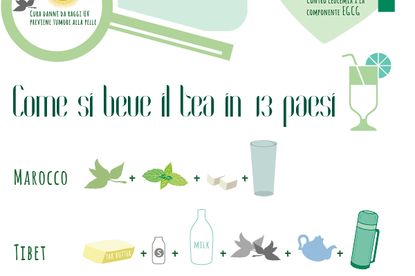 tea Tea Project personal Project infographic products benefits world illustrations