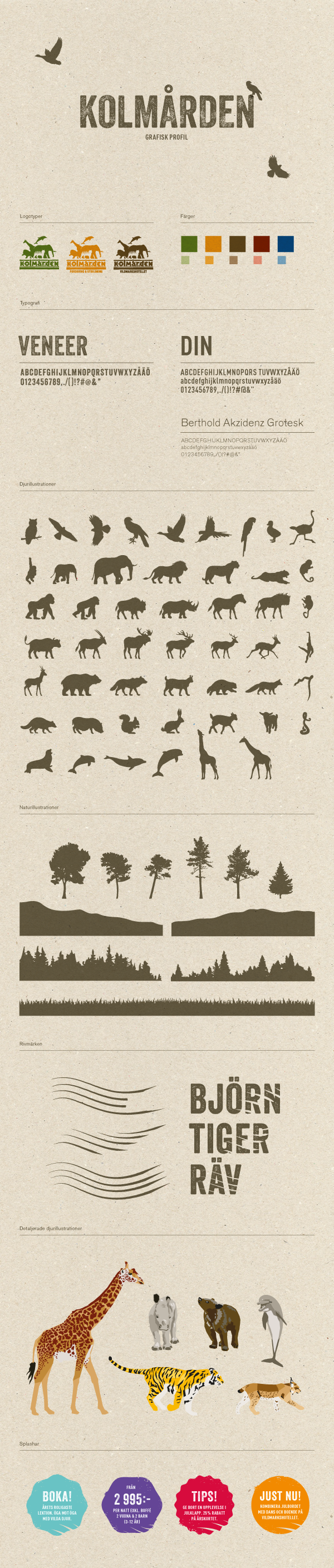 kolmården identity illustrations animals zoo Nature graphic profile graphic identity wild Djurpark