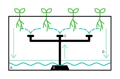 true harvest agriculture aeroponics aeroponic gardening gardening farming Food  food labels classification dining food products system senior project pratt senior project pratt comd