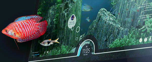 Arduino aquarium interactive Flash live livestream Internet of Things web app fish aqua feed