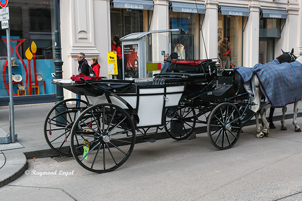 Hackney Carriages in Vienna