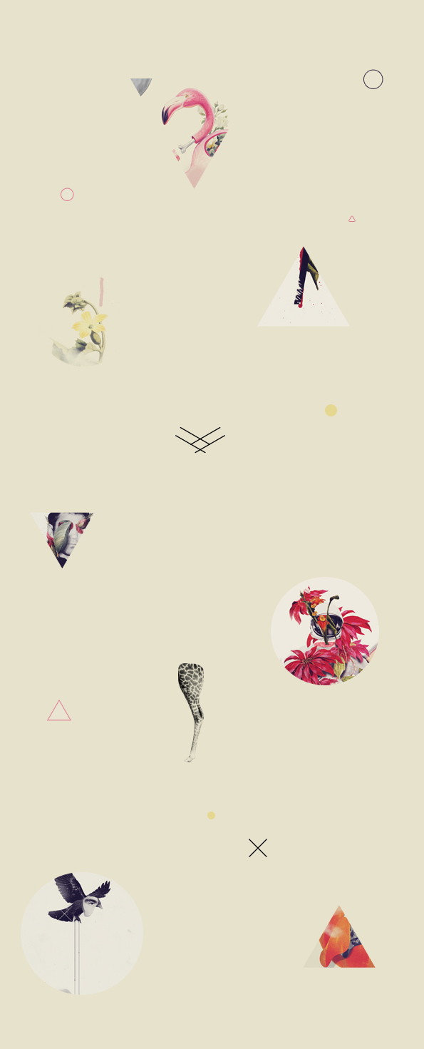 collage artandrat print vintage flamingo heroes poster Boxing nasa astronaut Flowers