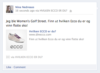 shoes  Ecco Retail
