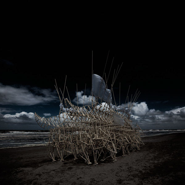 Salventius portraits beach shed antenna