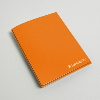 diseño identidad marca savants logo Logotype Isologo flecha arrow orange grey naranja BI Papeleria brand