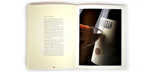 wine  luxury  company book  Brand book copywriter freelance  Copywriter Torino storytelling    story telling