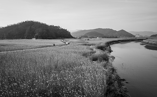 Suncheon Bay Wetland