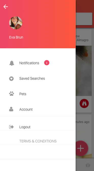 app mobile pets ILLUSTRATION  ux branding 