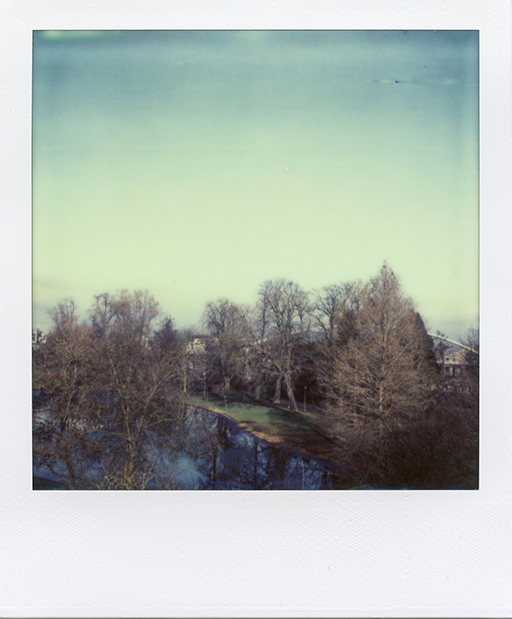POLAROID colour Instant Photography analogue photography sx70 maastricht The Netherlands outdoors art close-ups SKY clouds trees