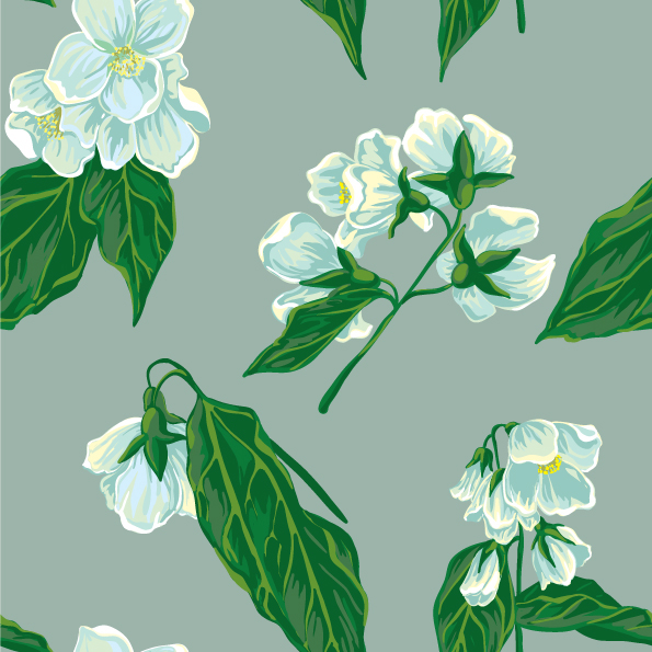 peony Jasmine floral vector art blossom girl background