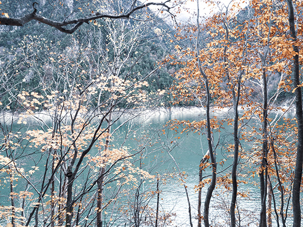 Autumn kurobe dam in Japan